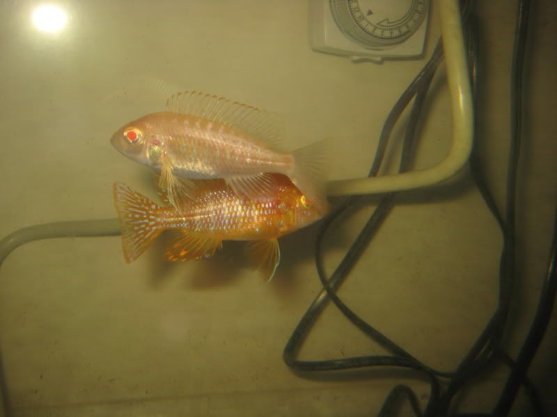 IMG_4984.jpg