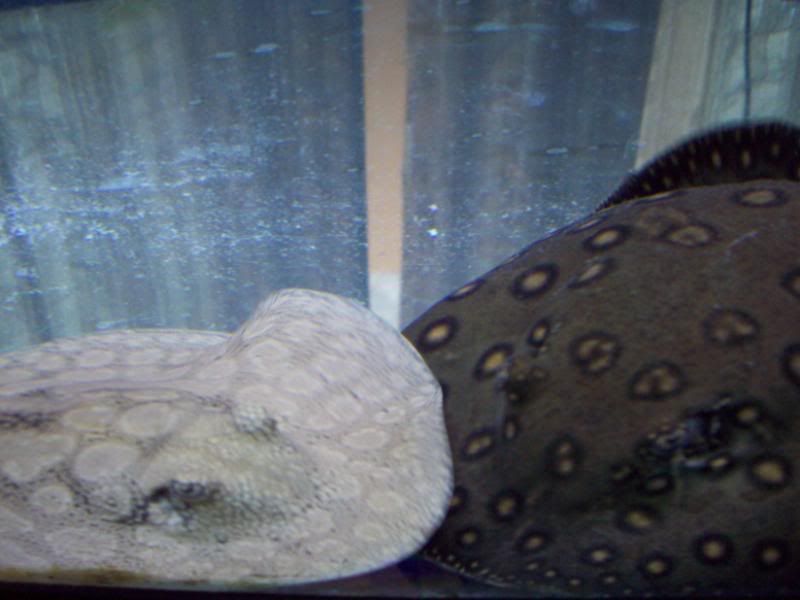 100_2900.jpg