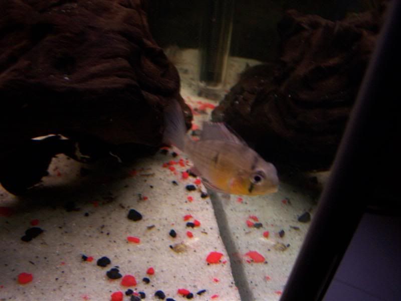 100_5051Medium.jpg