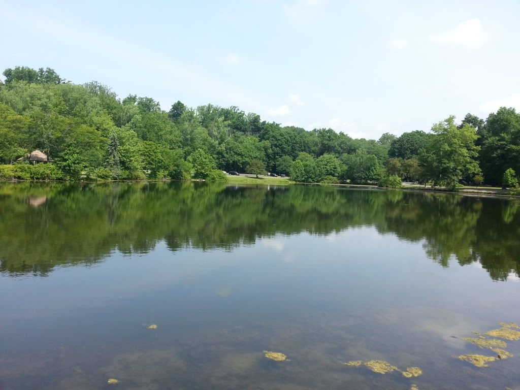 20130627_104644_zpse1e5bcba.jpg
