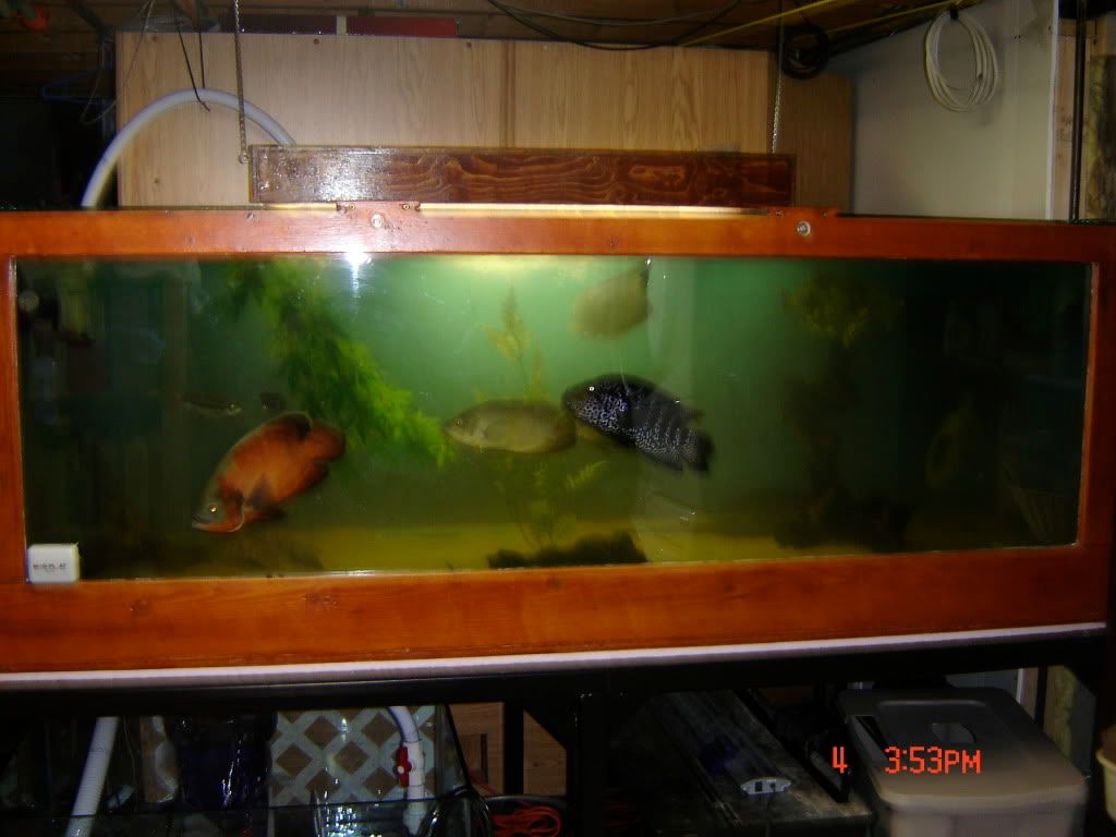 DSC04211.jpg