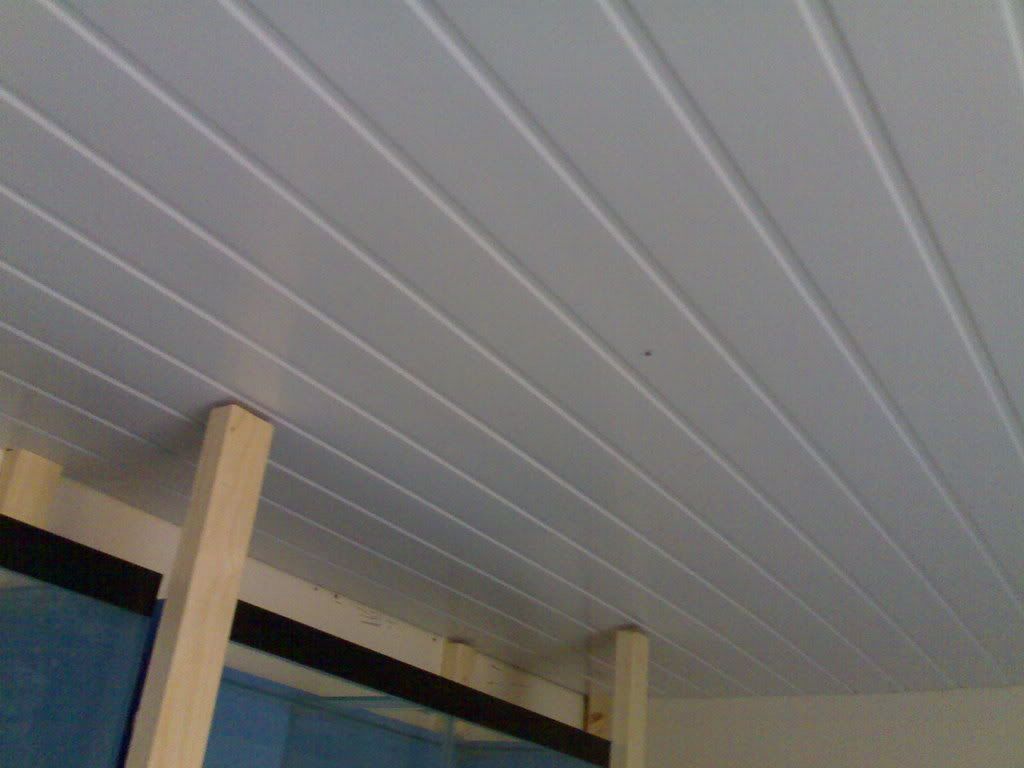 20102007511.jpg