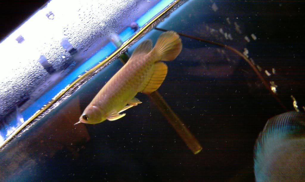 IMAG0097.jpg