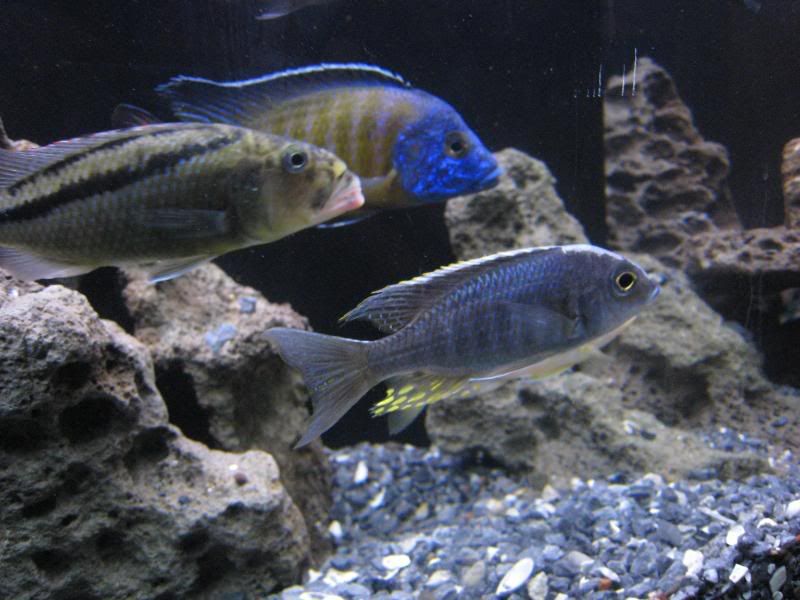 IMG_6223.jpg