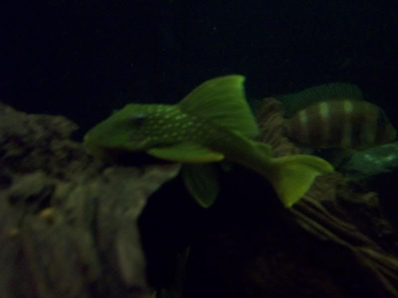 100_2698.jpg