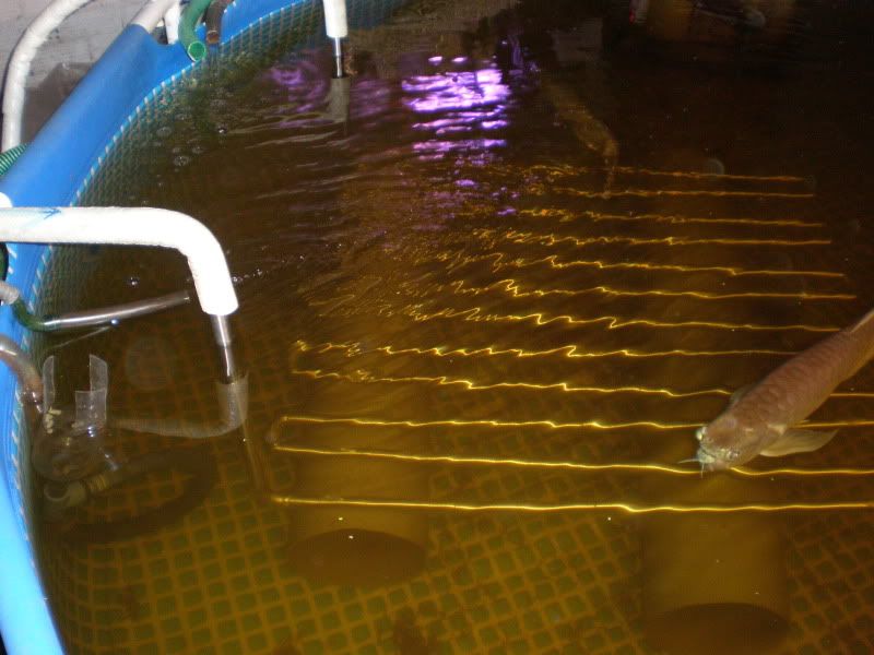 PA290003.jpg