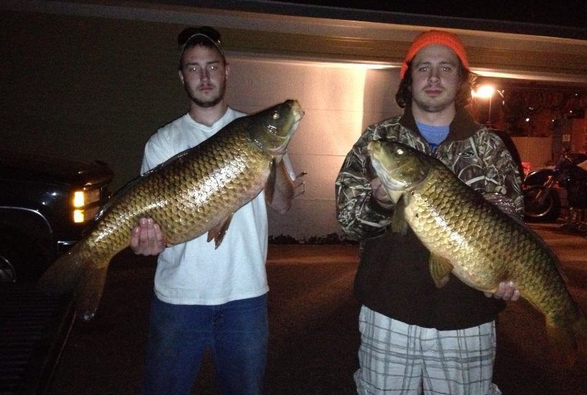 carp4_zpsc3c61388.jpg