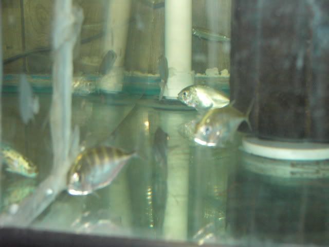 IMAG0560.jpg