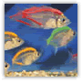 square_dyedfish.gif