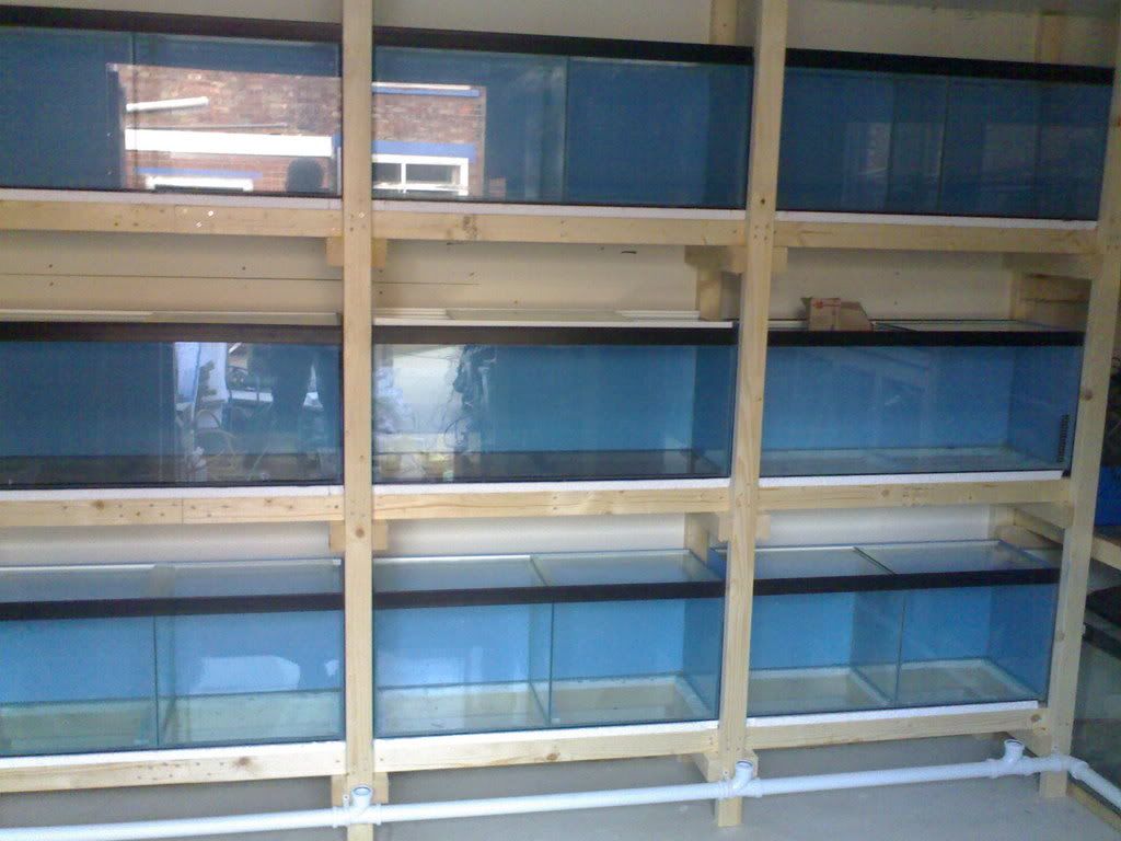 20102007512.jpg