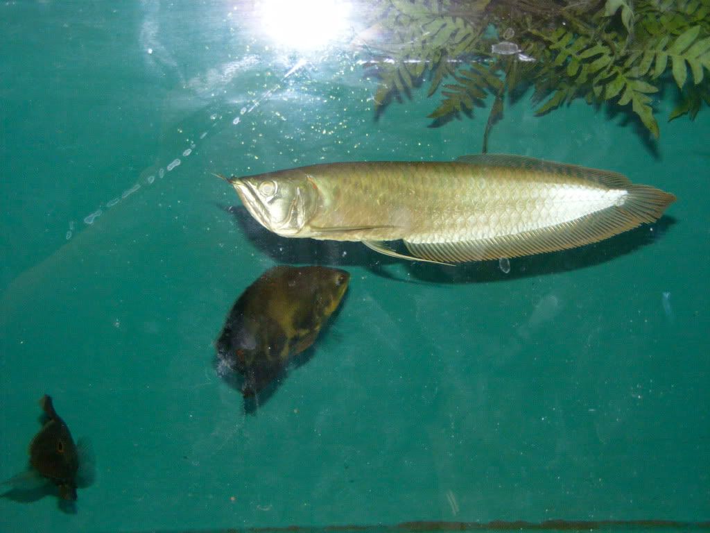 DSCF2685.jpg