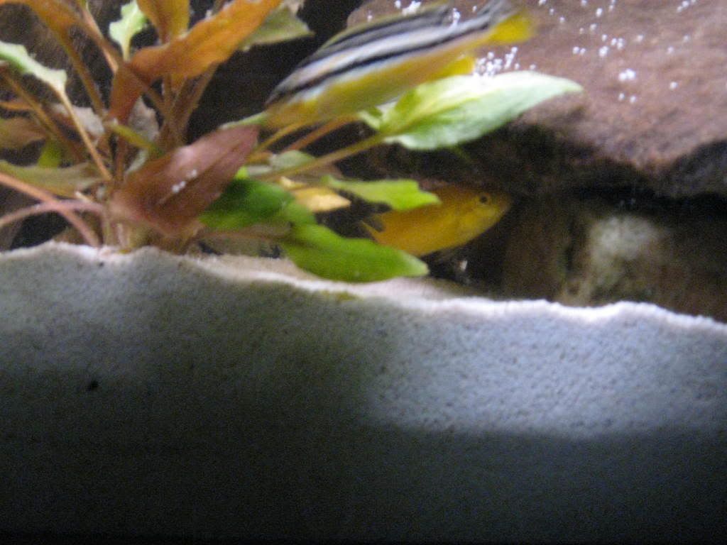 IMG_1055.jpg