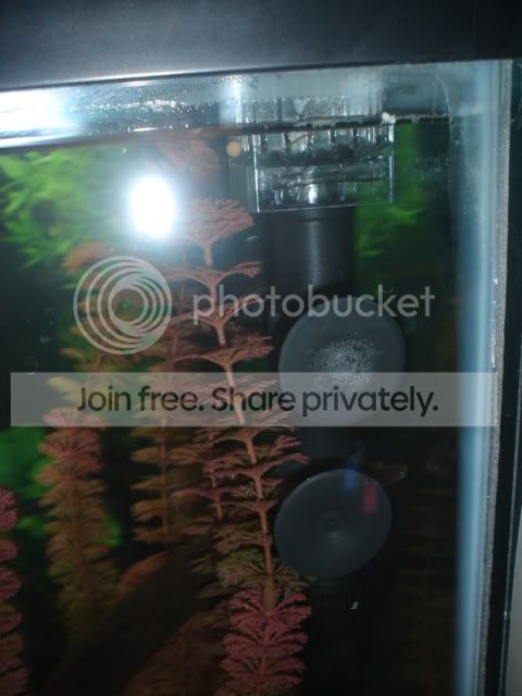 DSC00012.jpg