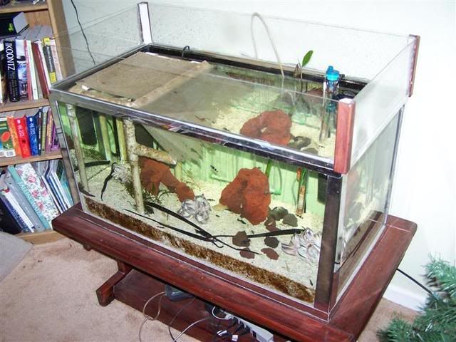 100_1286Medium.jpg