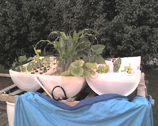 7-23-2008.jpg