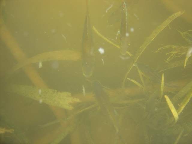 DSC05879.jpg