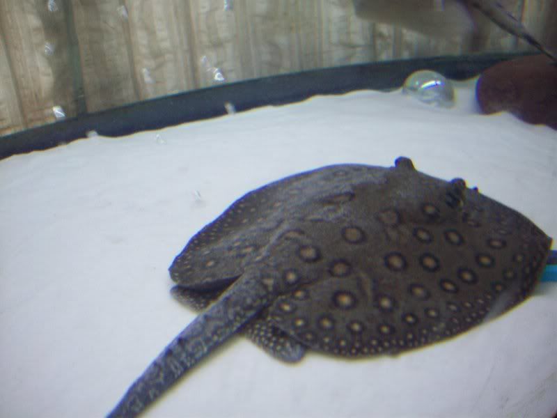 100_2536.jpg