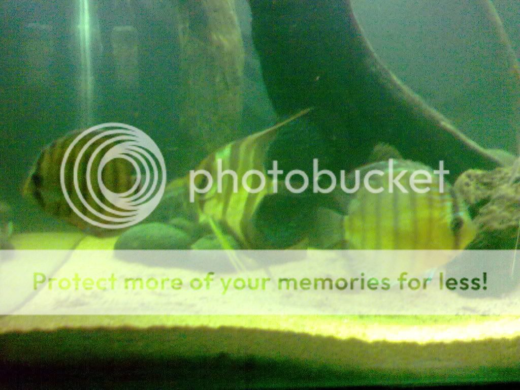 30052009143.jpg