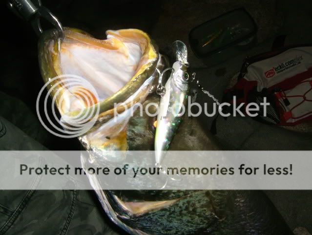 DSCF6739.jpg