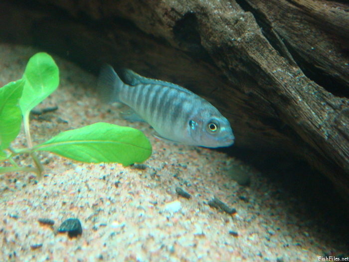 sgkqvmf3_DSC02293.JPG