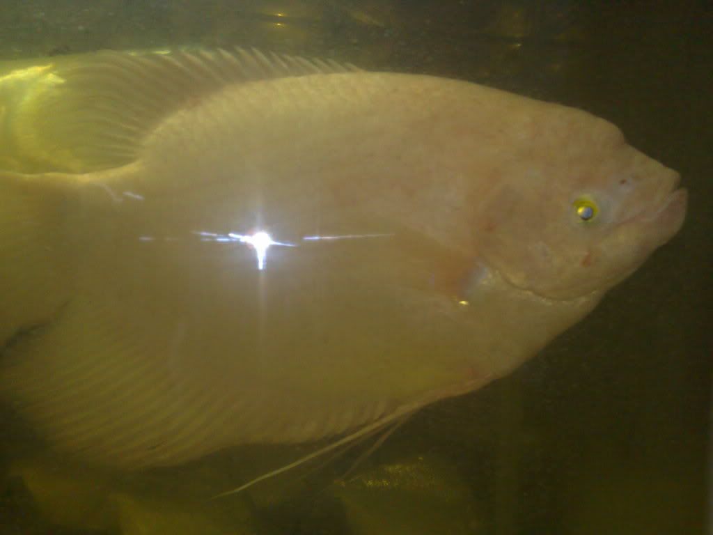 05102009920.jpg