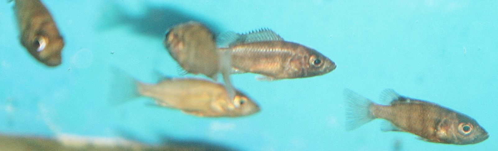 014_zps176b5ae2.jpg
