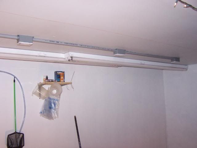 wall005.jpg
