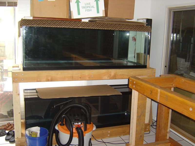 4-11-08003.jpg