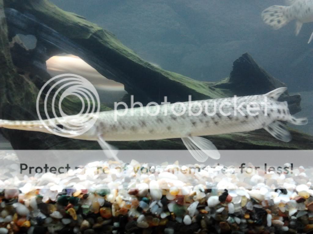 2012-01-02234734.jpg