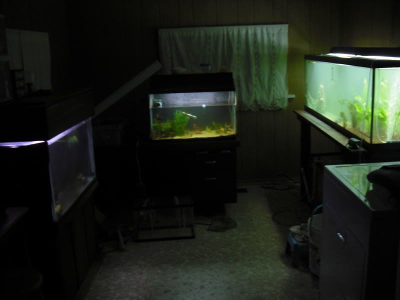 DSCF0025.jpg