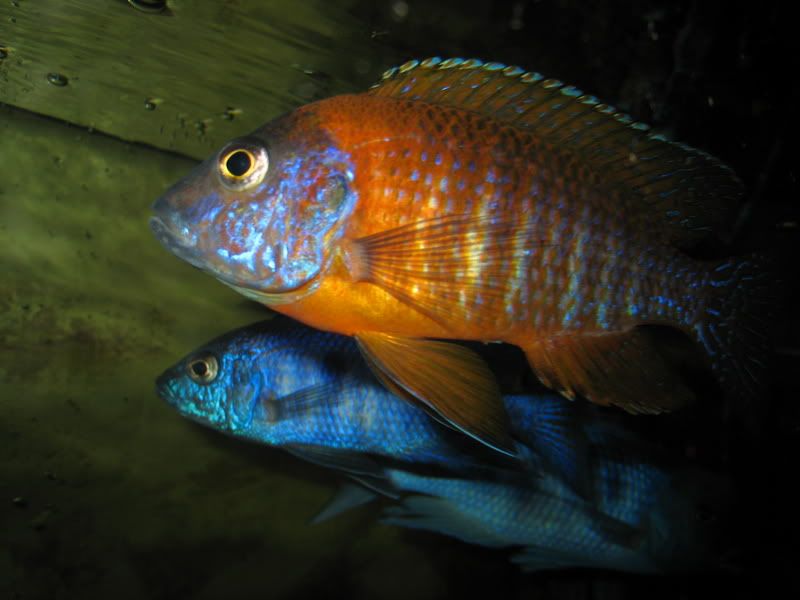 IMG_1957.jpg