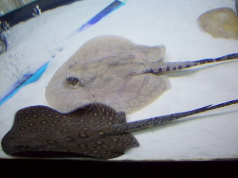 100_2533.jpg