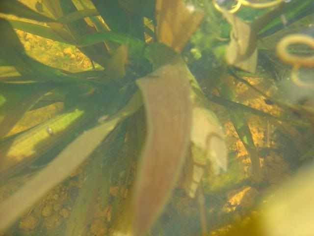 DSC09870.jpg