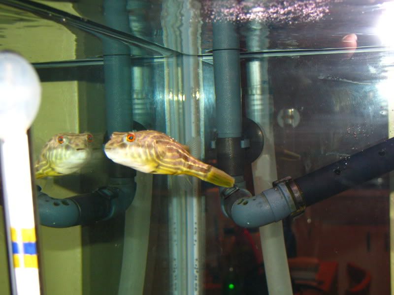 Picture014.jpg