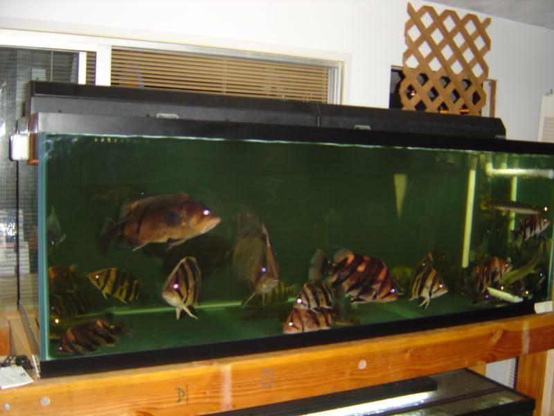 10-18-08031.jpg