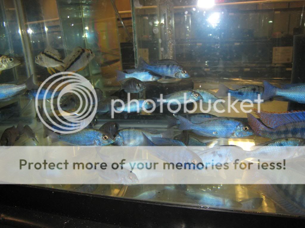 IMG_9421.jpg