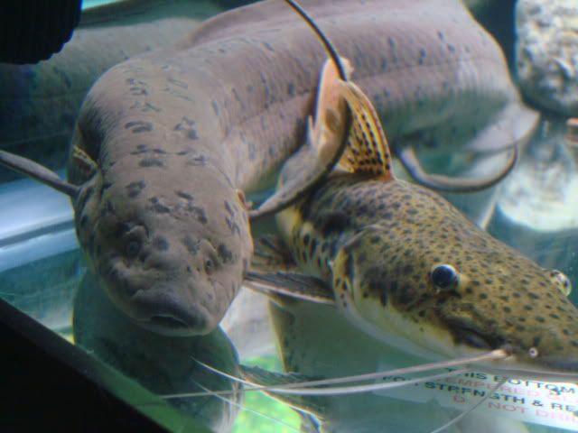 DSC07962.jpg