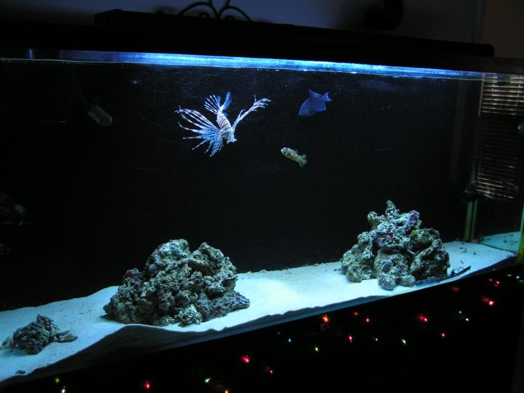 PICT0797.jpg