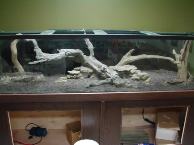 DSC03326.jpg