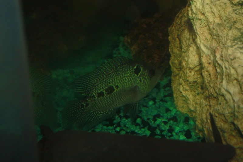 _MG_7621.jpg