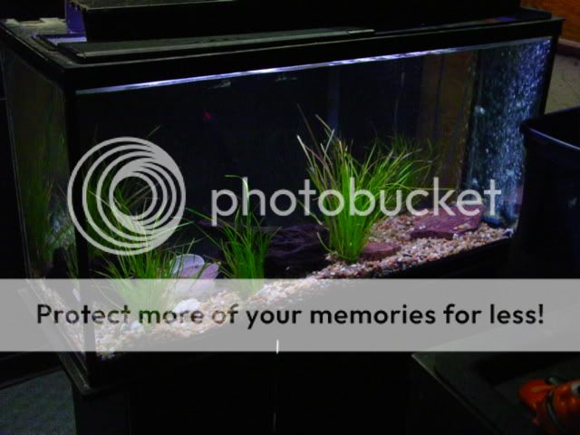 DSC09011.jpg