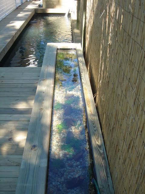 DSC05609.jpg