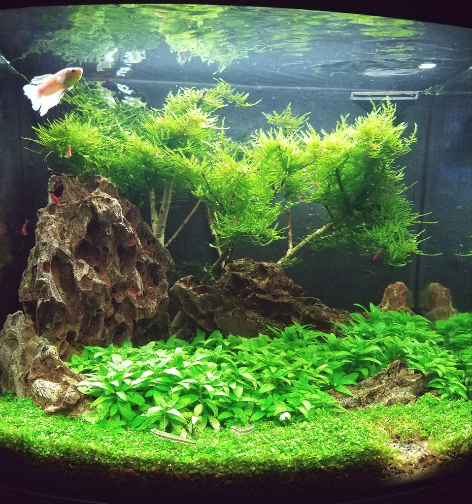 20170328_211813.jpg