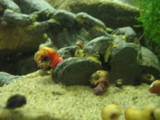 IMG_5983.jpg