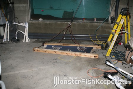 stretcher.jpg