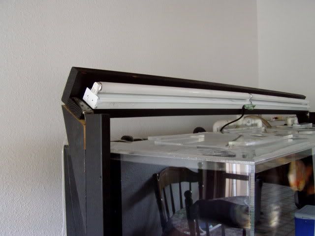 farah-3.jpg