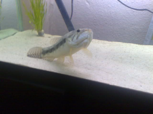 15092008532.jpg