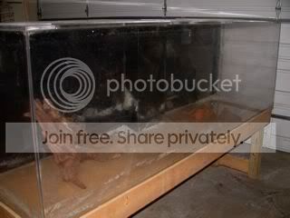 DSCN9734.jpg
