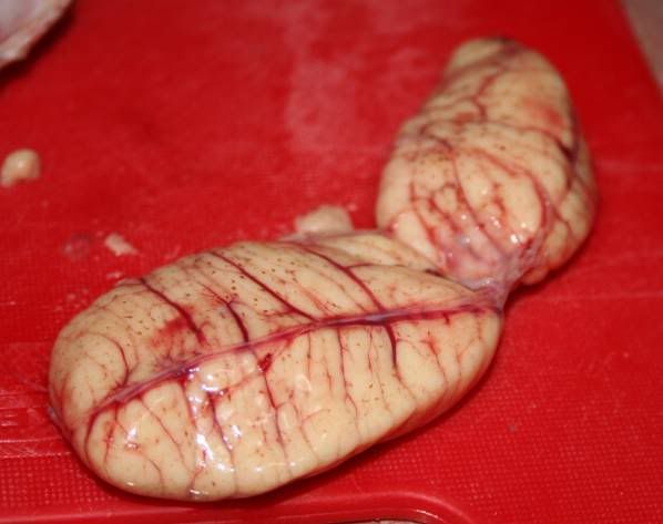 PreggyAT-5-1.jpg