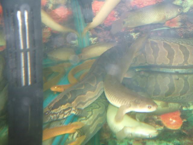 DSCF2412.jpg